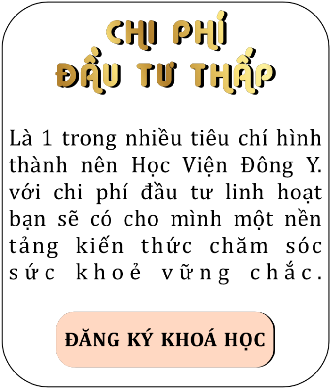 chi phí đầu tư nhượng quyền đông y trị liệu thấp dao đông từ 10 triệu cho 1 khoá học tại Học Viện Đông Y