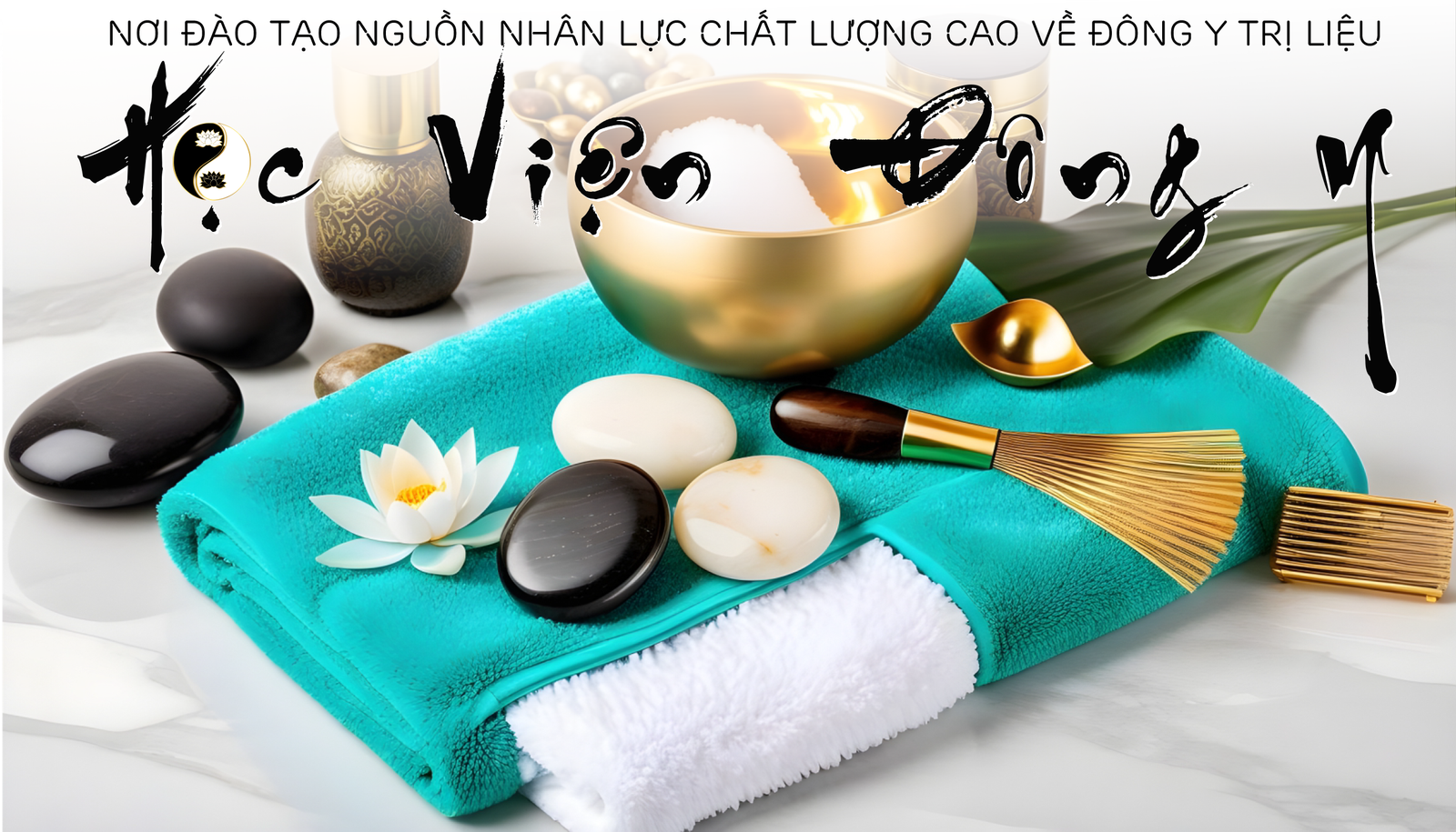 Liệu pháp chuyên sâu vùng đầu được đào tạo tại Học Viên Đông Y